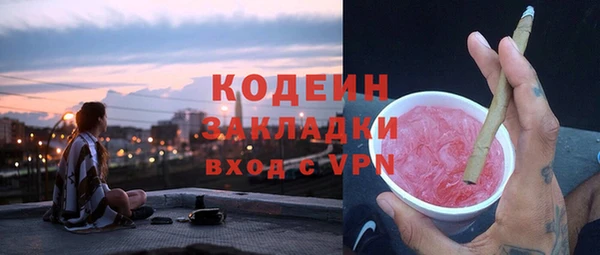 индика Балахна