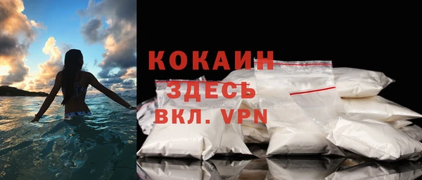 индика Балахна