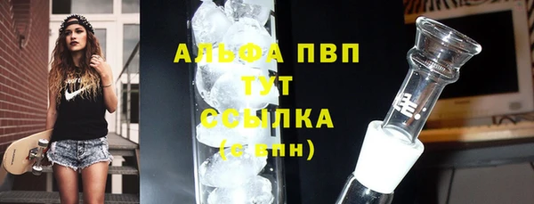 индика Балахна